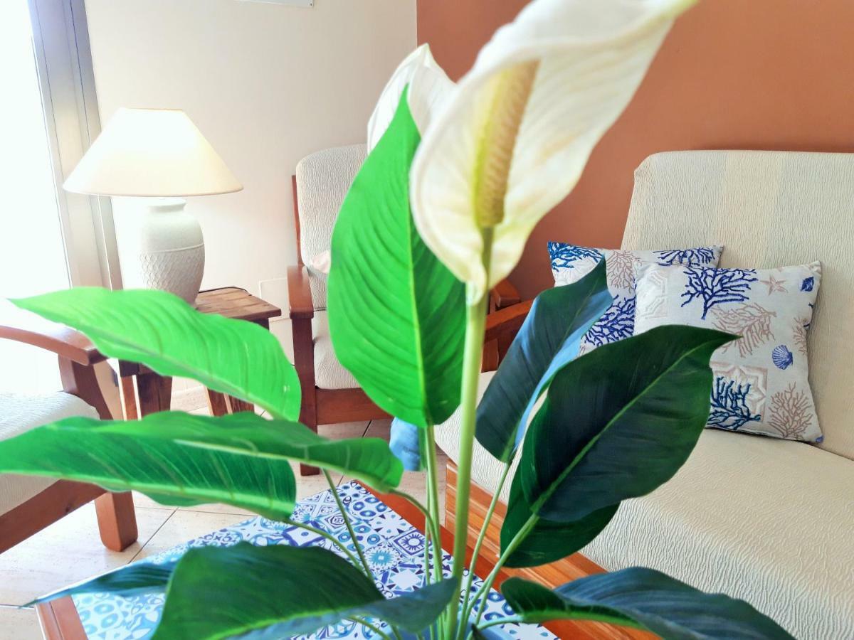 Sedna Apartment